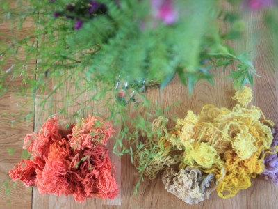- „Plant-based colours of dreams” - workshops of dyeing wool and linen using the traditional method 08.08.2020-IMG_5325.JPG