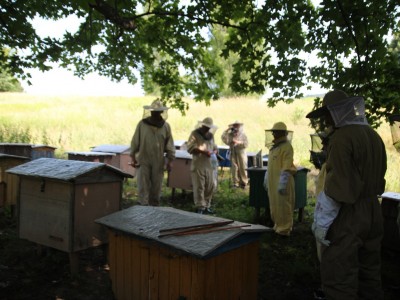 Beekeeper workshops 7-11.07.2021-warsztaty_pszczelarskie_2021_016.JPG