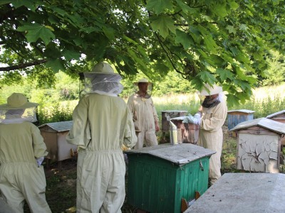 Beekeeper workshops 7-11.07.2021-warsztaty_pszczelarskie_2021_017.JPG
