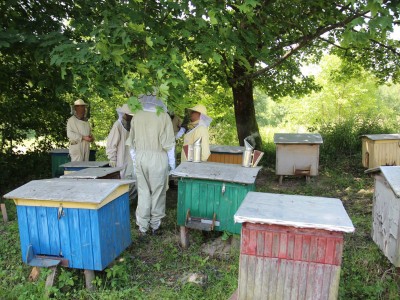 Beekeeper workshops 7-11.07.2021-warsztaty_pszczelarskie_2021_019.JPG