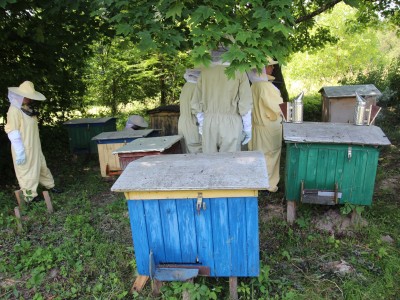 Beekeeper workshops 7-11.07.2021-warsztaty_pszczelarskie_2021_022.JPG