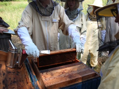 Beekeeper workshops 7-11.07.2021-warsztaty_pszczelarskie_2021_026.JPG