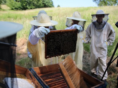 Beekeeper workshops 7-11.07.2021-warsztaty_pszczelarskie_2021_030.JPG