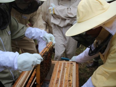 Beekeeper workshops 7-11.07.2021-warsztaty_pszczelarskie_2021_067.JPG