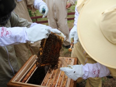 Beekeeper workshops 7-11.07.2021-warsztaty_pszczelarskie_2021_070.JPG