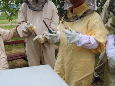 Beekeeper workshops 7-11.07.2021-warsztaty_pszczelarskie_2021_073.JPG
