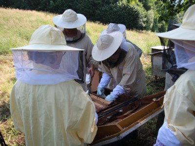 Beekeeper workshops 7-11.07.2021-warsztaty_pszczelarskie_2021_075.JPG