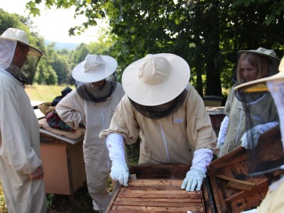 Beekeeper workshops 7-11.07.2021-warsztaty_pszczelarskie_2021_076.JPG
