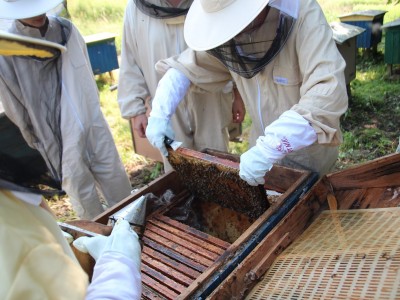 Beekeeper workshops 7-11.07.2021-warsztaty_pszczelarskie_2021_080.JPG