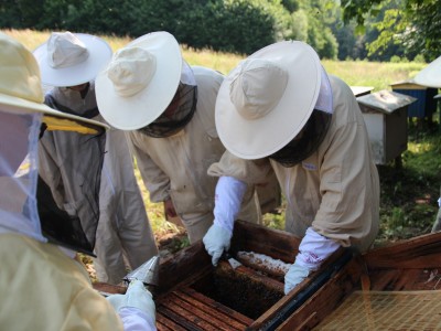 Beekeeper workshops 7-11.07.2021-warsztaty_pszczelarskie_2021_081.JPG