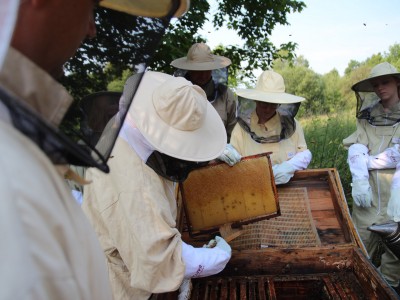 Beekeeper workshops 7-11.07.2021-warsztaty_pszczelarskie_2021_090.JPG