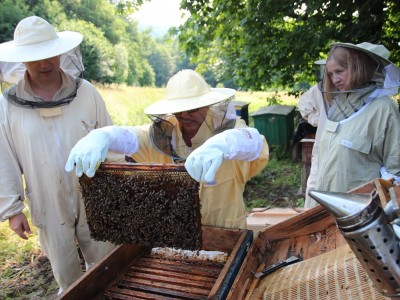 Beekeeper workshops 7-11.07.2021-warsztaty_pszczelarskie_2021_091.JPG