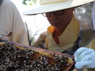Beekeeper workshops 7-11.07.2021-warsztaty_pszczelarskie_2021_093.JPG