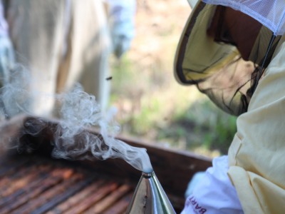 Beekeeper workshops 7-11.07.2021-warsztaty_pszczelarskie_2021_098.JPG