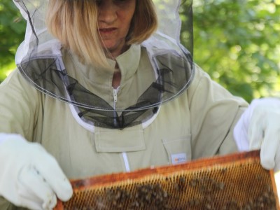 Beekeeper workshops 7-11.07.2021-warsztaty_pszczelarskie_2021_103.JPG