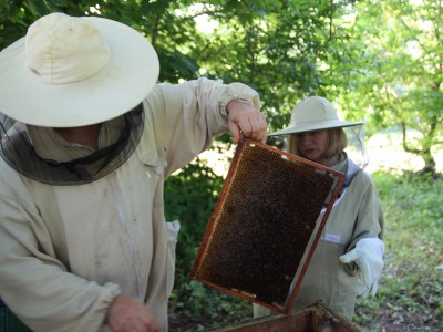 Beekeeper workshops 7-11.07.2021-warsztaty_pszczelarskie_2021_105.JPG