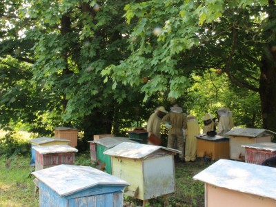 Beekeeper workshops 7-11.07.2021-warsztaty_pszczelarskie_2021_109.JPG