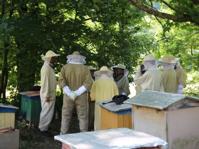 Beekeeper workshops 7-11.07.2021-warsztaty_pszczelarskie_2021_113.JPG