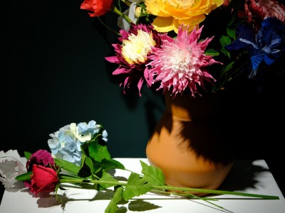 -DSCF7625.jpg